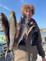 イサキ・クロムツ