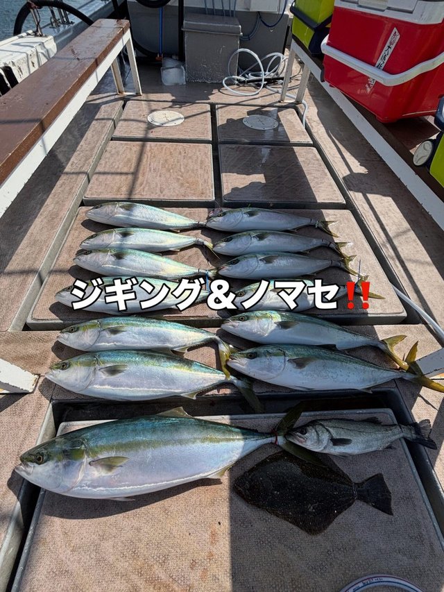 スズキ・ブリ・ヒラメ