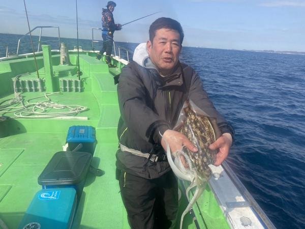 モンゴウ(カミナリイカ)