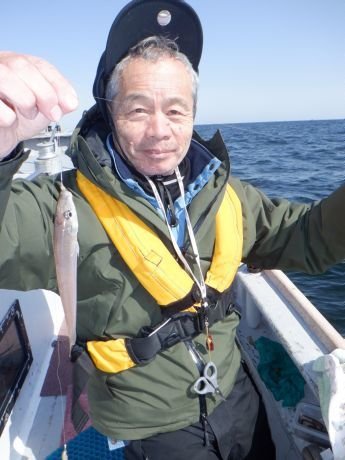 シロギス