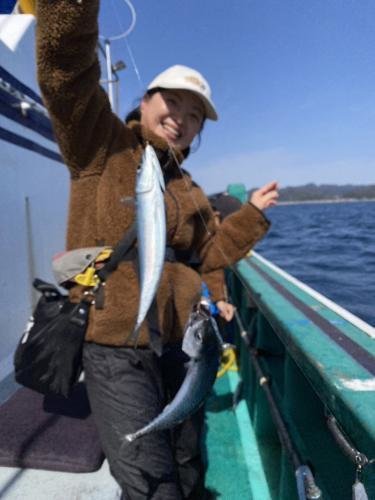 サバ(ゴマサバ)