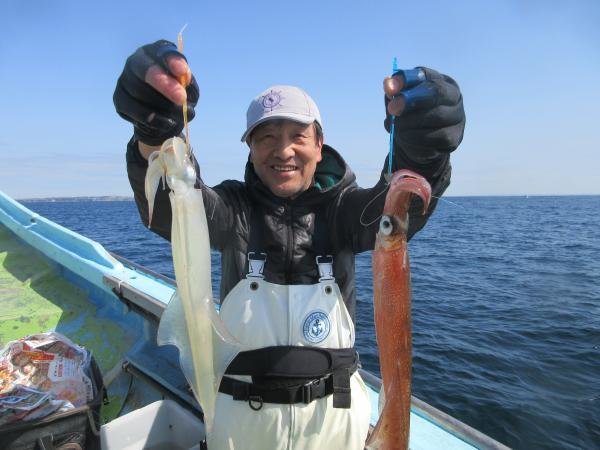 スルメイカ