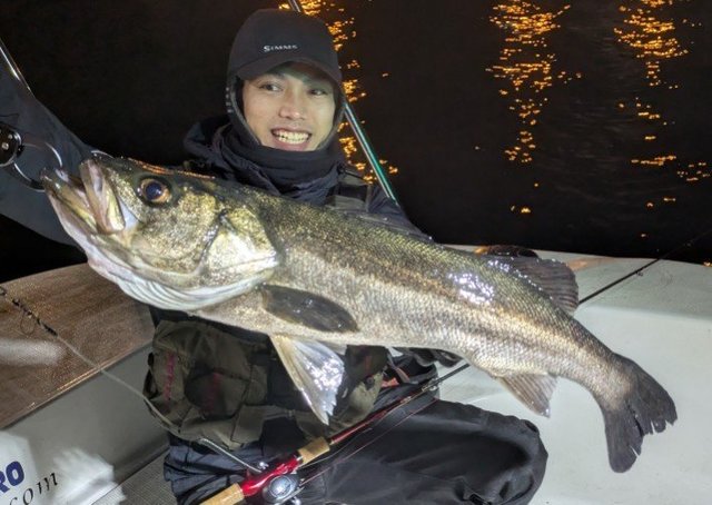 シーバス(スズキ)