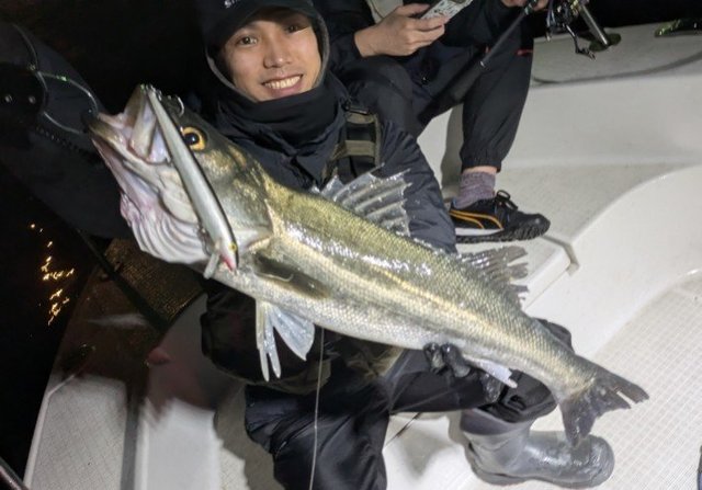 シーバス(スズキ)