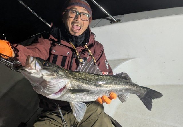 シーバス(スズキ)