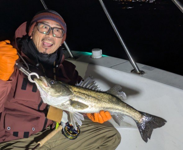 シーバス(スズキ)