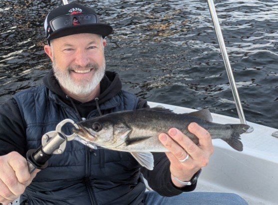 シーバス(スズキ)