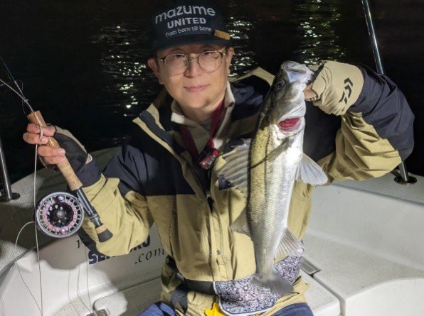 シーバス(スズキ)