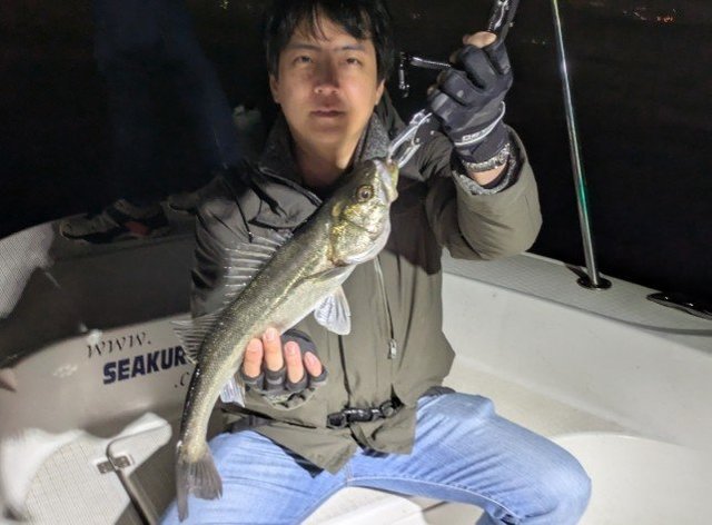 シーバス(スズキ)