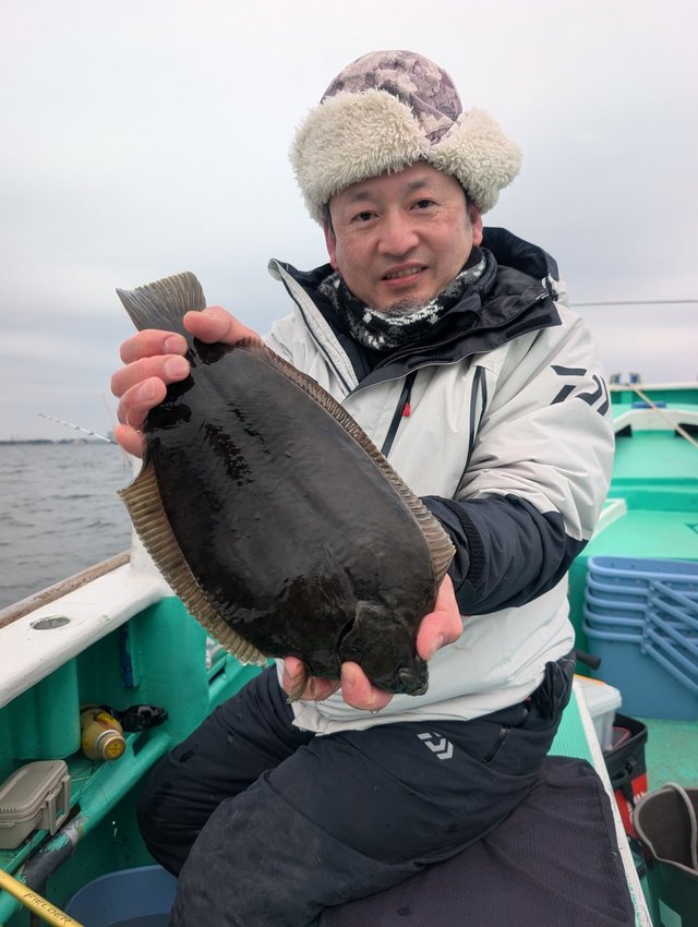 カレイ(マコガレイ)