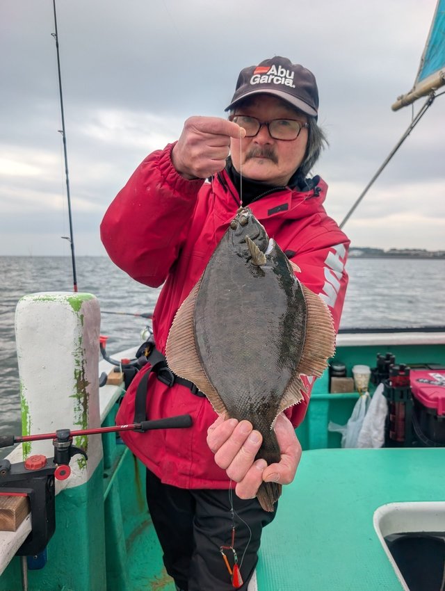 カレイ(マコガレイ)