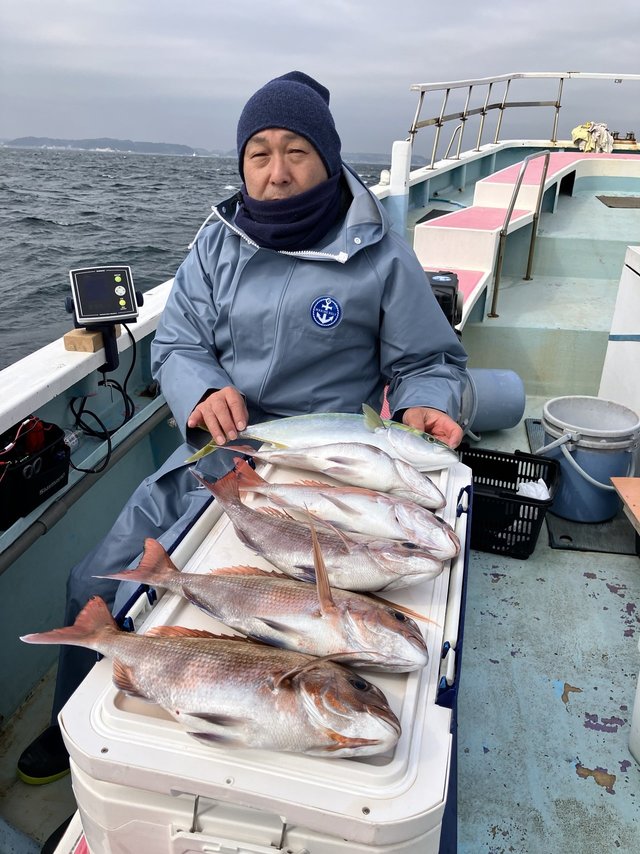 マダイ・イナダ(ブリ)