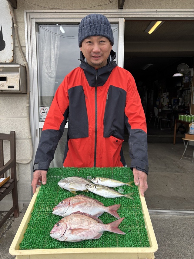 マダイ・アジ(マアジ)