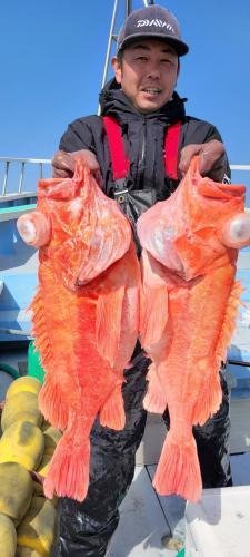 メヌケ(アコウダイ)