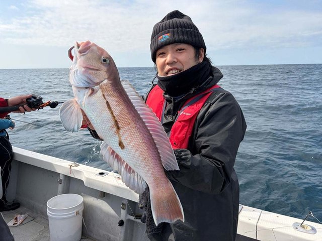 アマダイ(アカアマダイ)