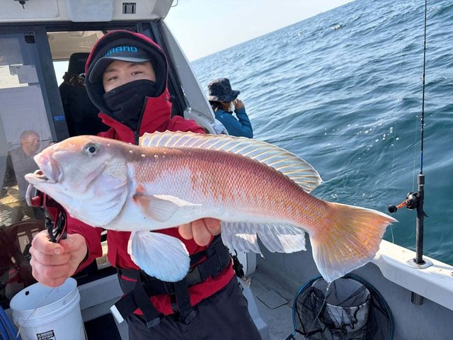 アマダイ(アカアマダイ)