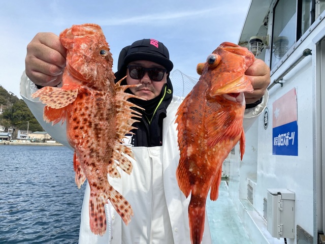 オニカサゴ・カンコ(ウッカリカサゴ)