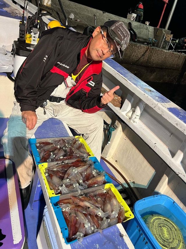 マルイカ(ケンサキイカ)・ヤリイカ