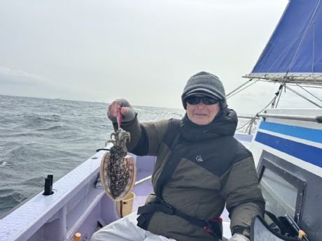 スミイカ(コウイカ)