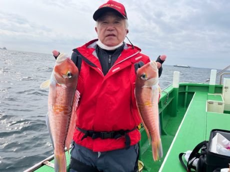 アマダイ(アカアマダイ)