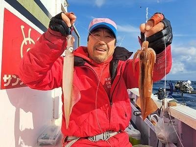 ヤリイカ・スルメ(スルメイカ)