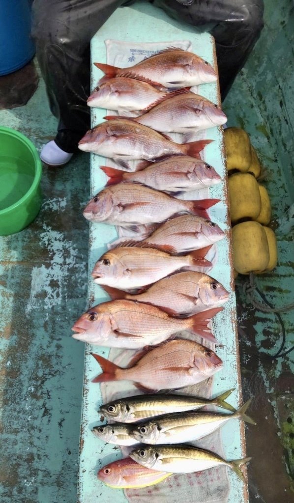 マダイ・アジ(マアジ)・ソコイトヨリ