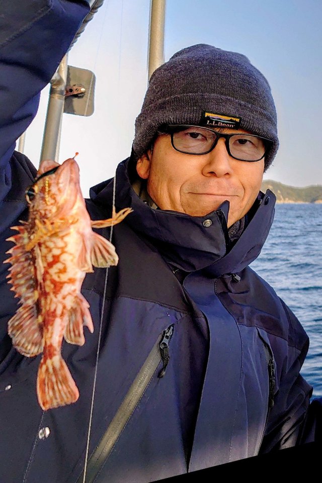 ガシラ(カサゴ)