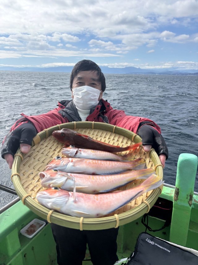 アマダイ(アカアマダイ)