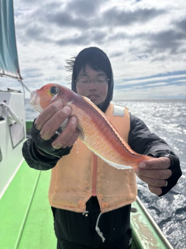 アマダイ(アカアマダイ)