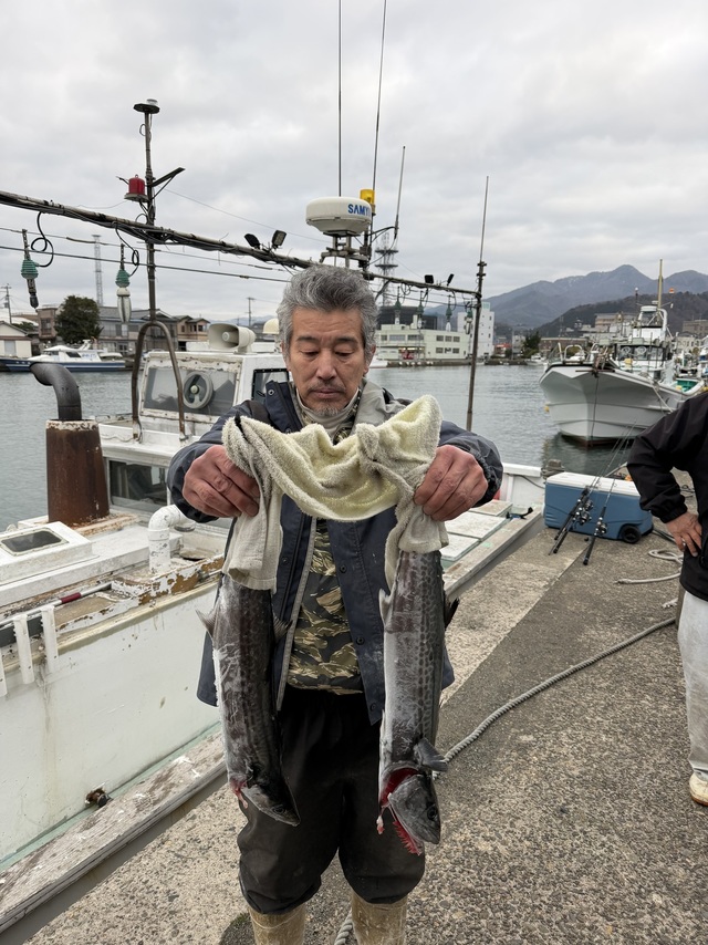 サゴシ(サワラ)