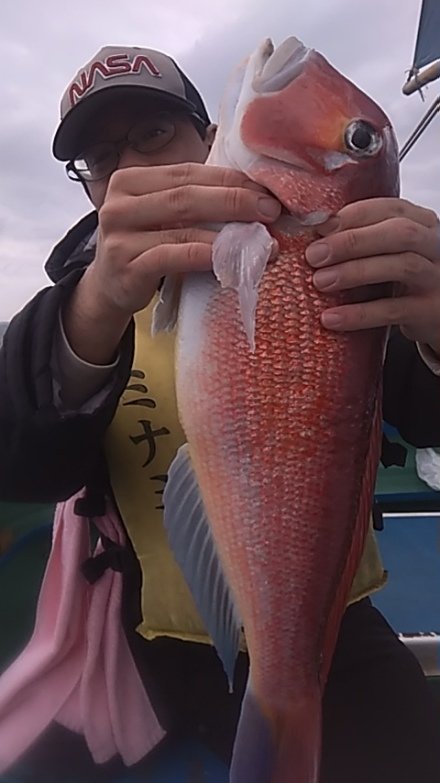 アマダイ(アカアマダイ)