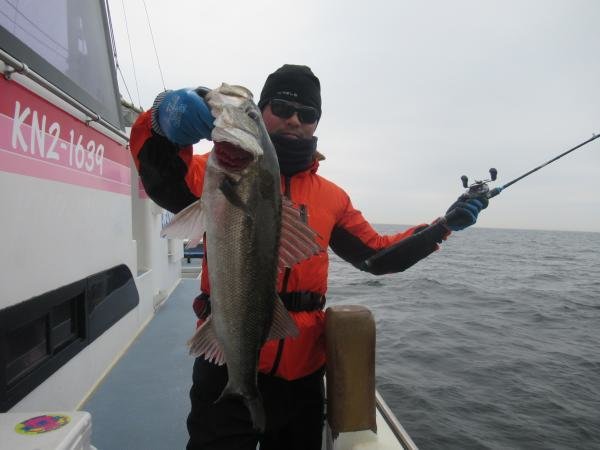 シーバス(スズキ)