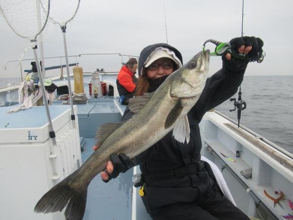 シーバス(スズキ)