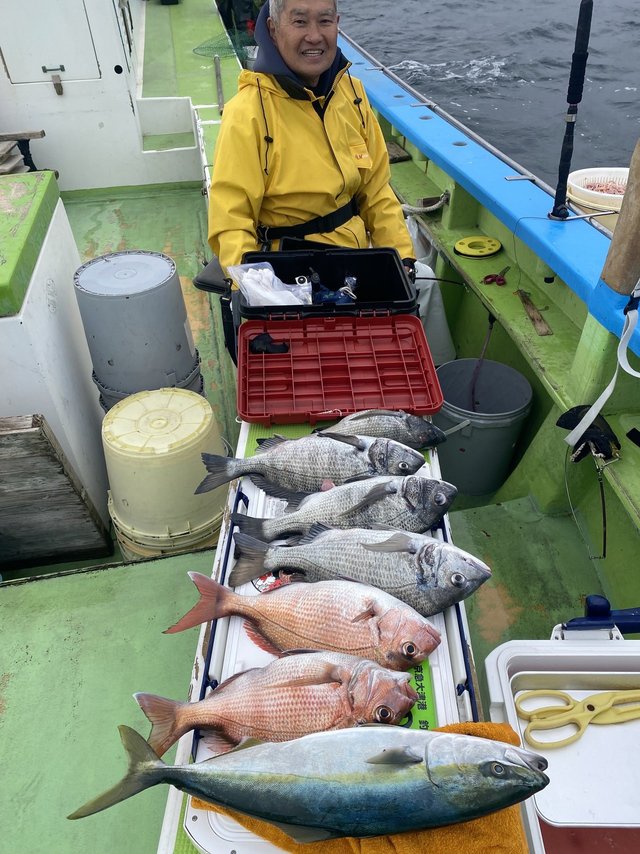 マダイ・クロダイ・イナダ(ブリ)