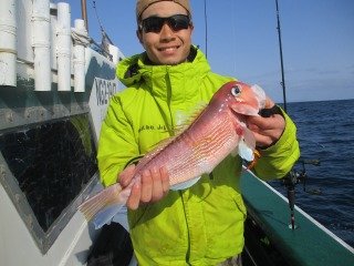 アマダイ(アカアマダイ)