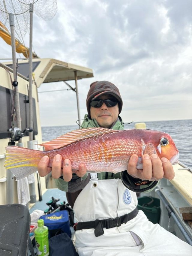 アマダイ(アカアマダイ)