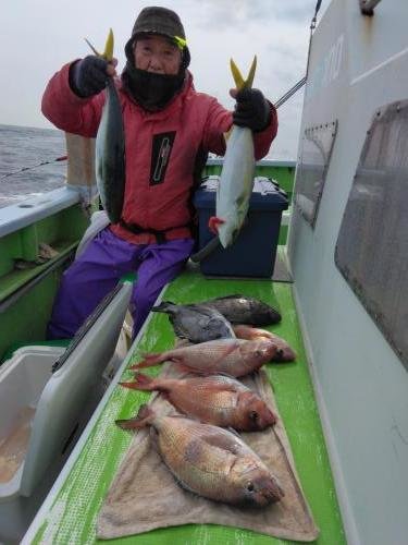 マダイ・クロダイ・ワラサ(ブリ)