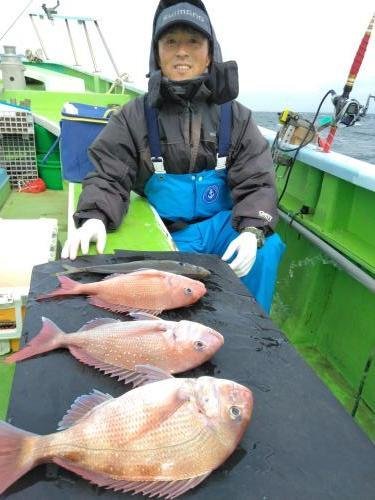 マダイ・アジ(マアジ)