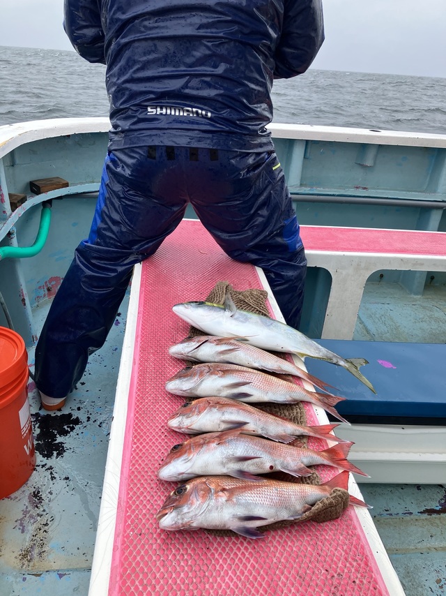 マダイ・イナダ(ブリ)