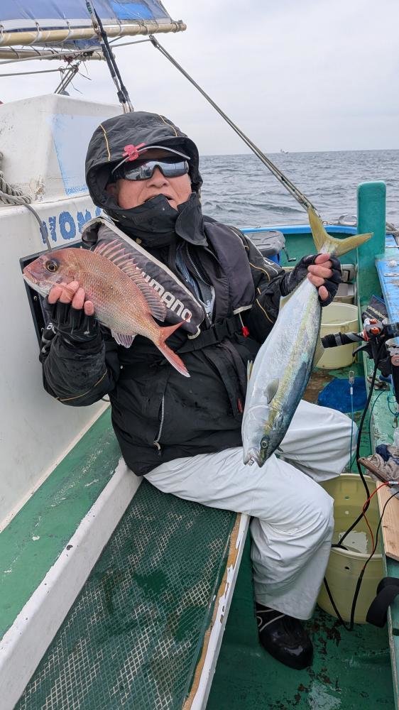 マダイ・イナダ(ブリ)