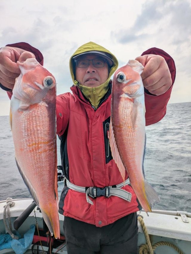 アマダイ(アカアマダイ)