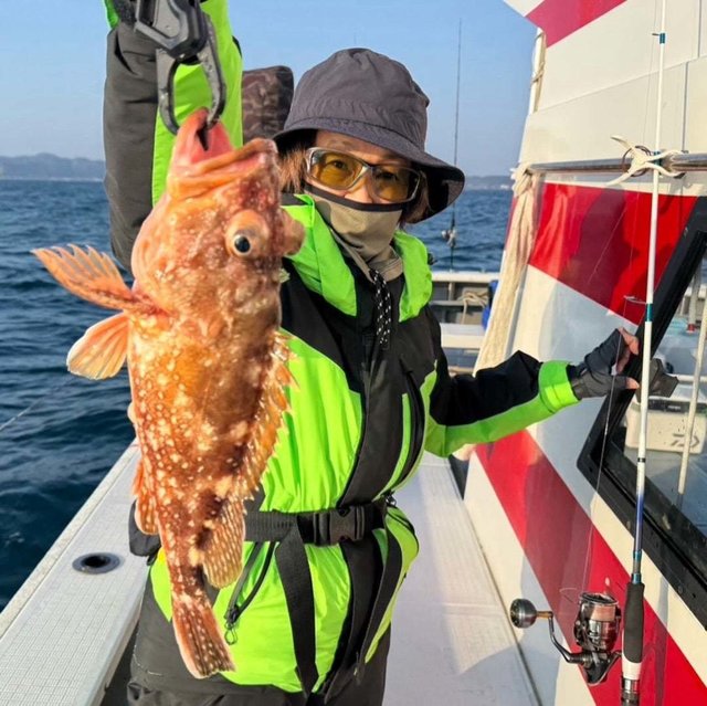 ウッカリカサゴ