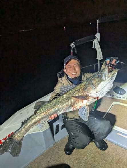 シーバス(スズキ)