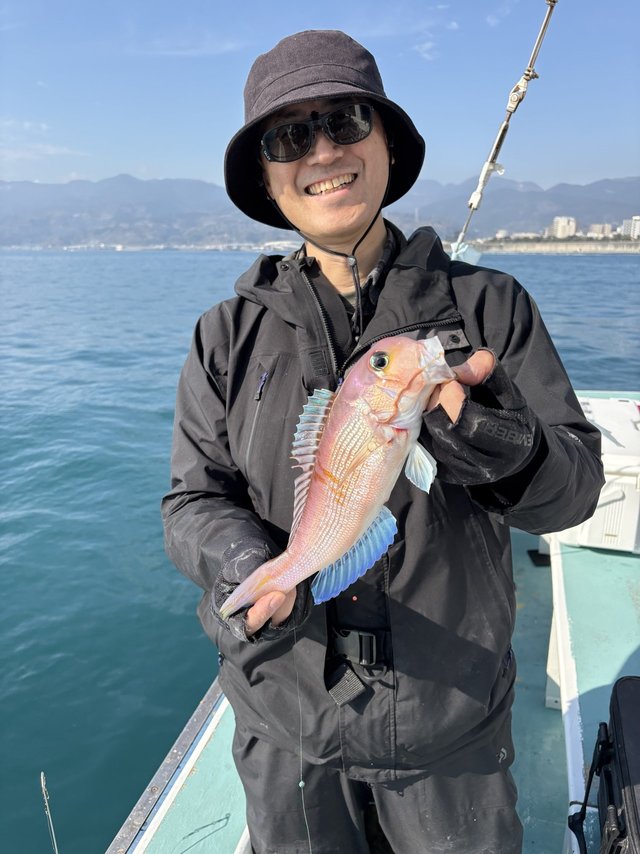 アマダイ(アカアマダイ)