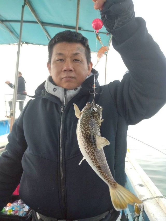 ショウサイフグ