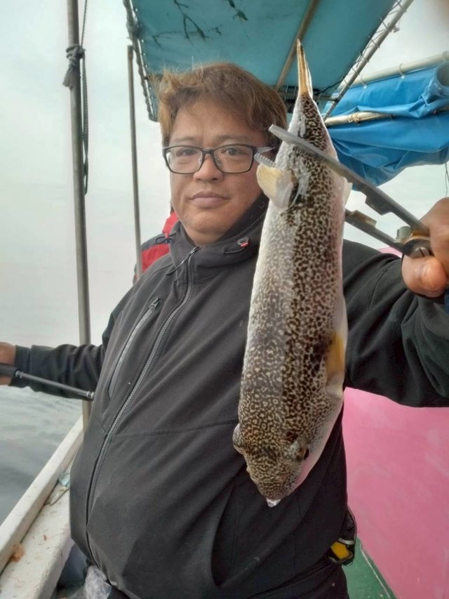 ショウサイフグ