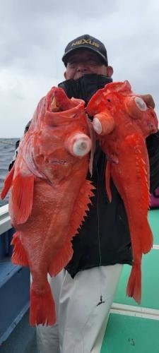 メヌケ(アコウダイ)