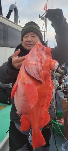 メヌケ(アコウダイ)