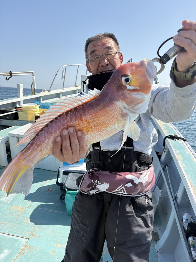 アマダイ(アカアマダイ)