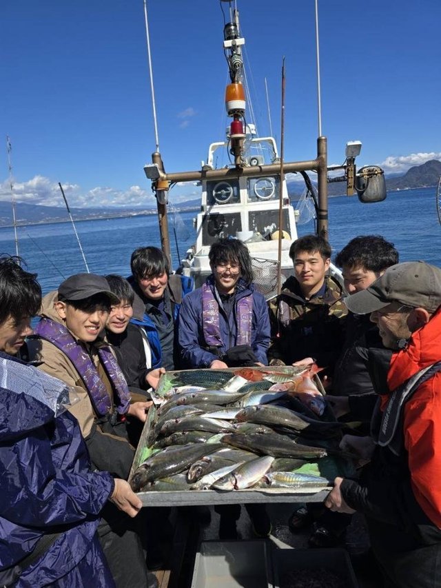 アジ(マアジ)・サバ(ゴマサバ)